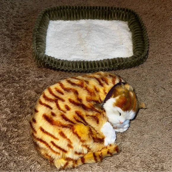 Perfect Petzzz Gray Tabby Cat W/Bed Battery and Adoption Papers - Picture 7 of 11